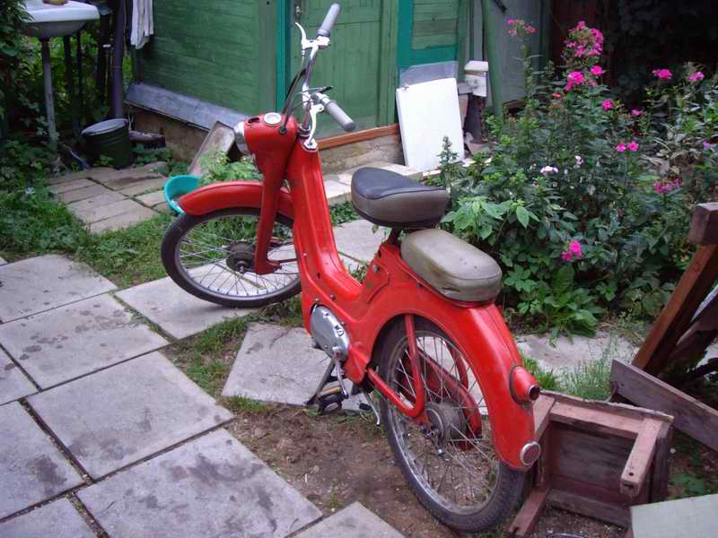 Ява 551 Jawetta Sport
