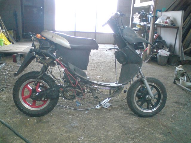ABM patron 50 стант