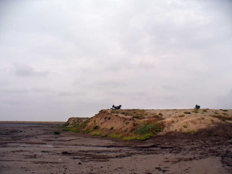 26
