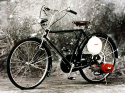 Honda 1952 Cub F