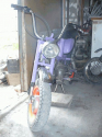 Babeta5
