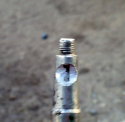  (4)
