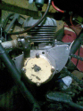 arm5
