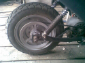 elscoot