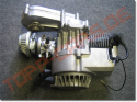 pocketbike motor
