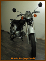 Honda Benly       4