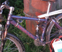  RST   